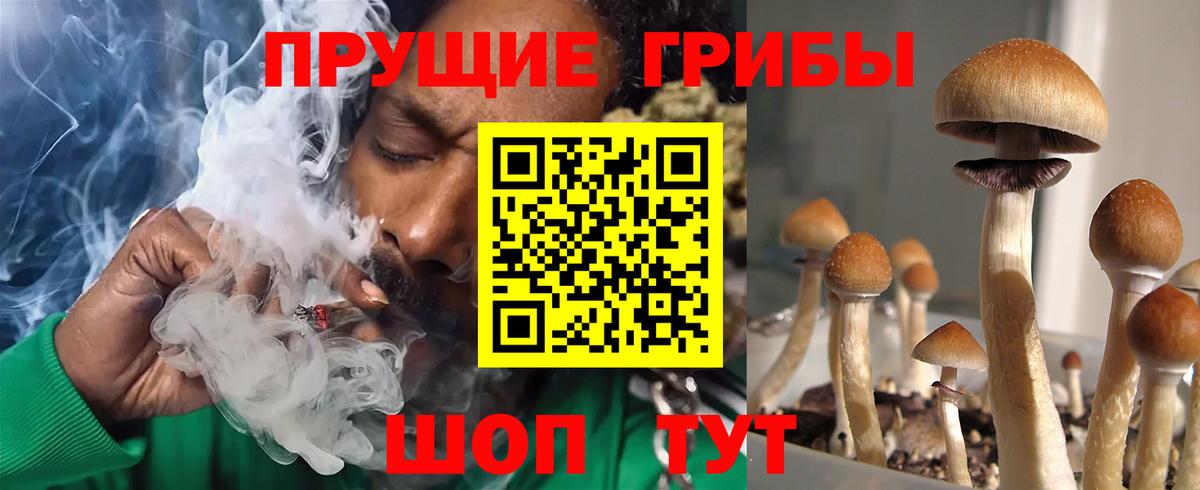 Новороссийск  Галлюциногенные грибы ЛСД  Вход с VPN 